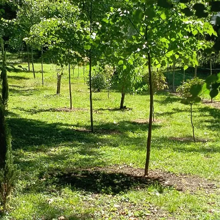 Chez Jean-pierre * Romery (Marne)