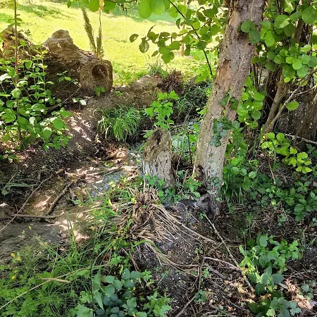 Chez Jean-pierre Σπίτι διακοπών