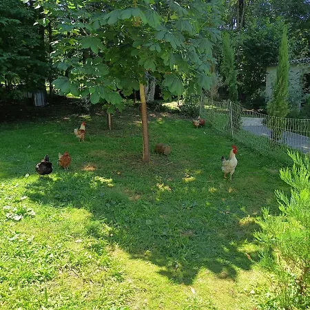 Chez Jean-pierre Romery (Marne)