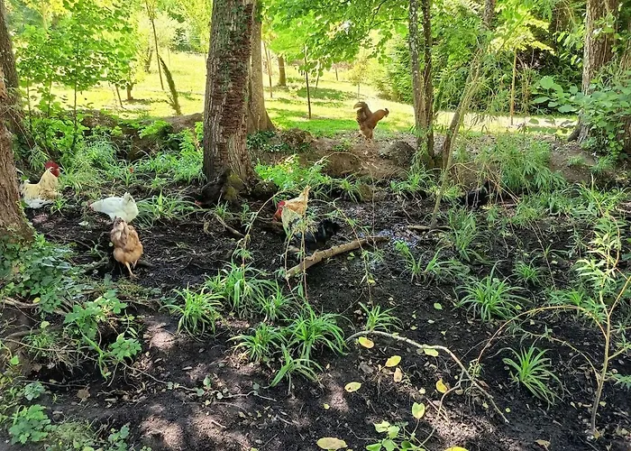 Chez Jean-pierre * Romery (Marne)