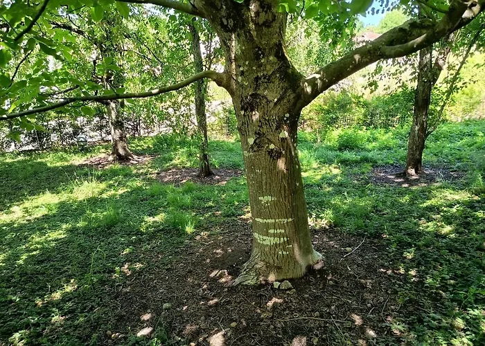 Сasa de vacaciones Chez Jean-pierre Romery (Marne)