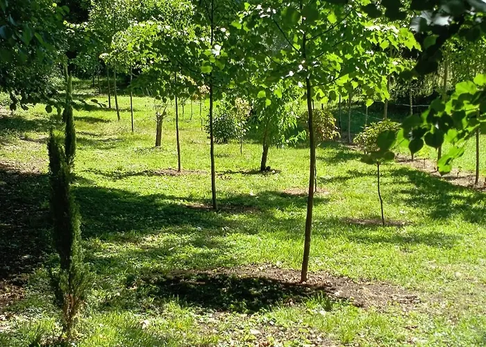 Chez Jean-pierre * Romery (Marne)