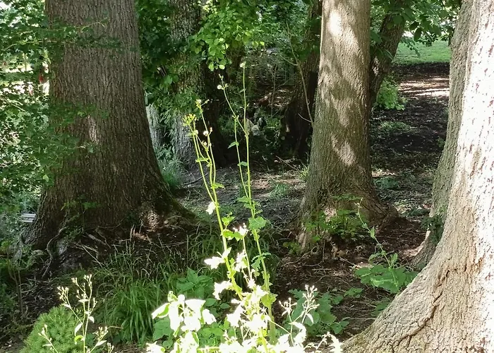 Chez Jean-pierre Romery (Marne)