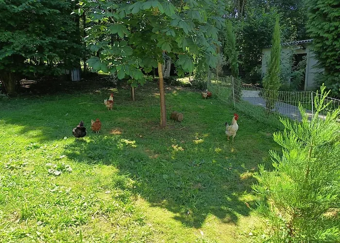 Chez Jean-pierre Romery (Marne)